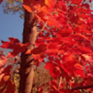 Meet your Posher, Kayleah